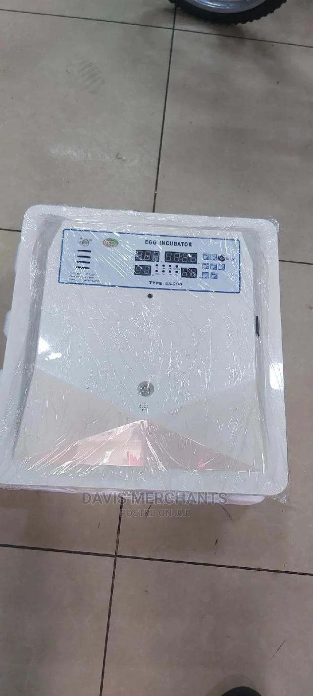 56 Eggs Automatic Incubator With AC and DC Power Functions - thumbnail 2