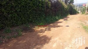 Commercial 50 by 100 Ft Plot for Sale in Kikuyu Thogoto.