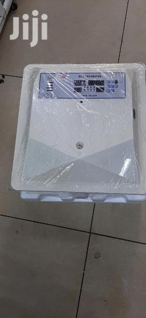 56 Eggs Incubator Automatic - thumbnail 2