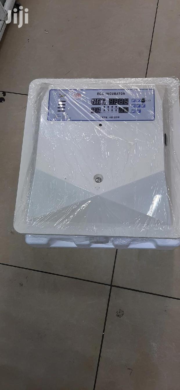 56 Eggs Incubator Automatic - main view