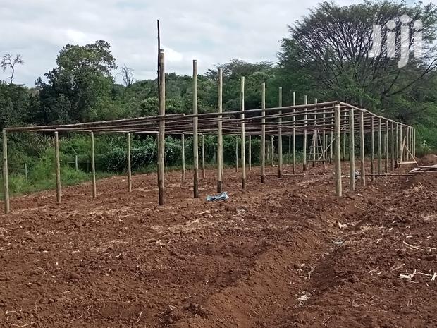 Green Houses Construction - thumbnail 2