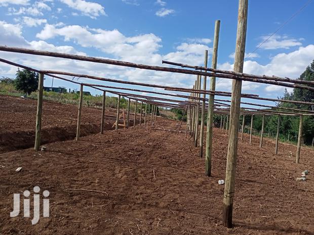 Green Houses Construction - thumbnail 3