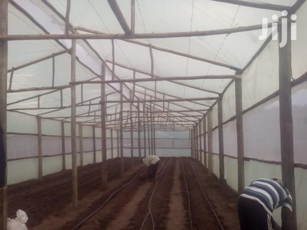 Green Houses Construction - thumbnail 4