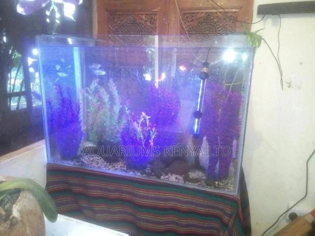 Custom Aquarium Tank for Sale - main view