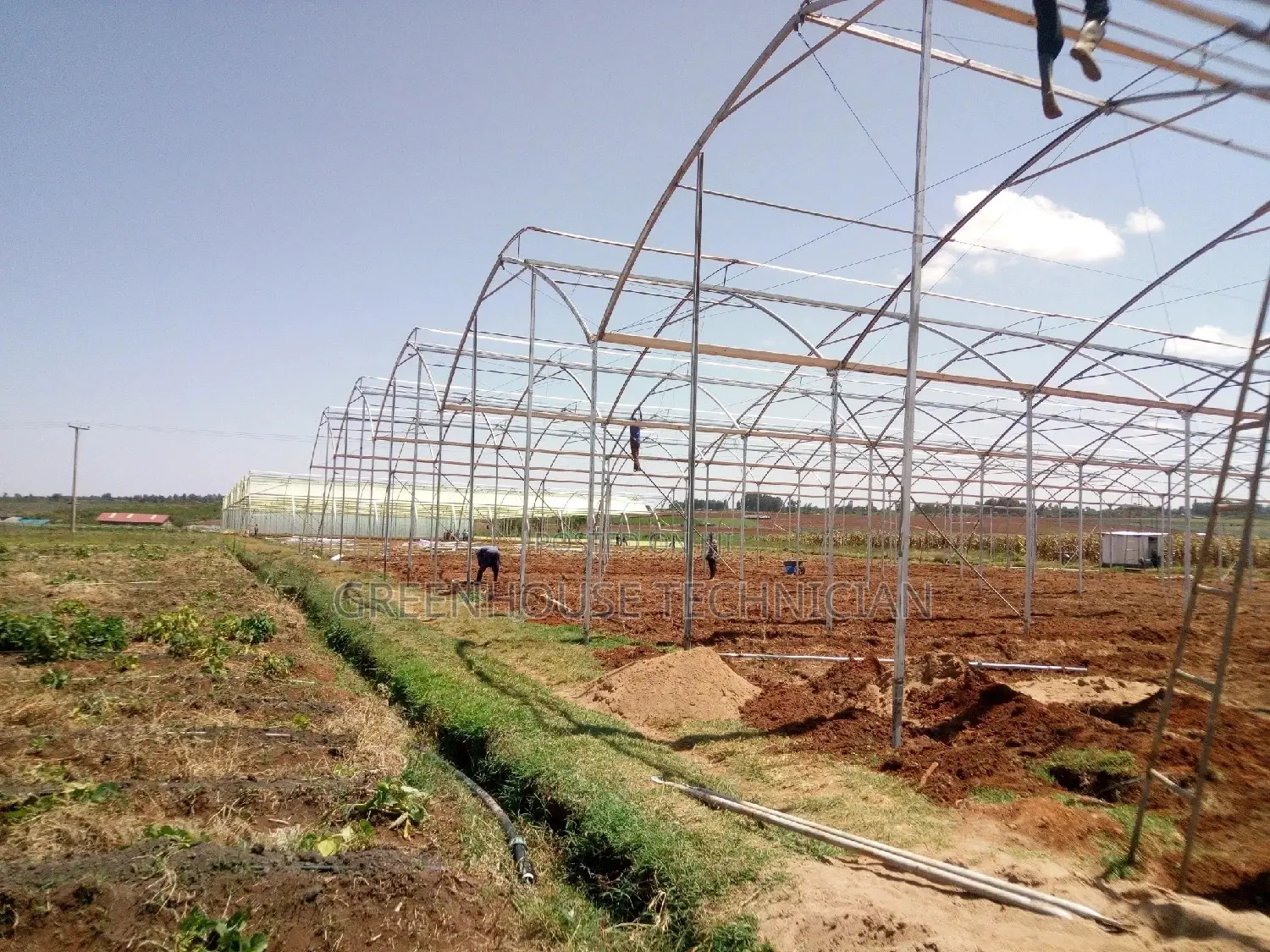 Greenhouses Technician,
