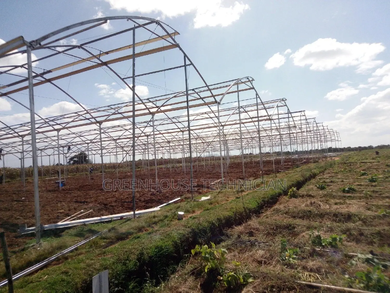 Greenhouses Technician,