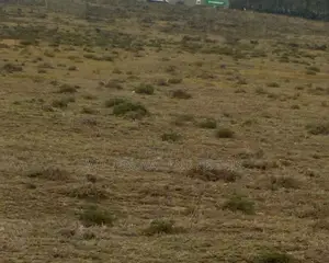 3 Acre on Sale at Longonot Naivasha