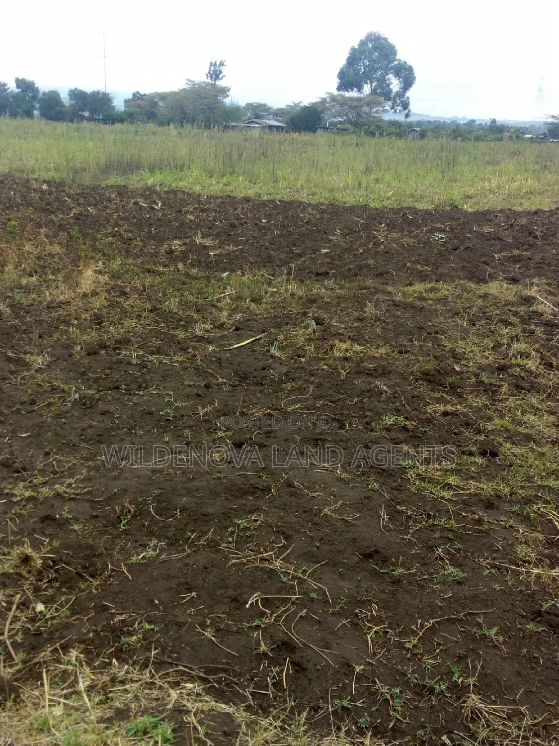 Land on Sale at Nyamathi Karai Naivasha