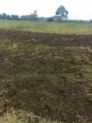 Land on Sale at Nyamathi Karai Naivasha