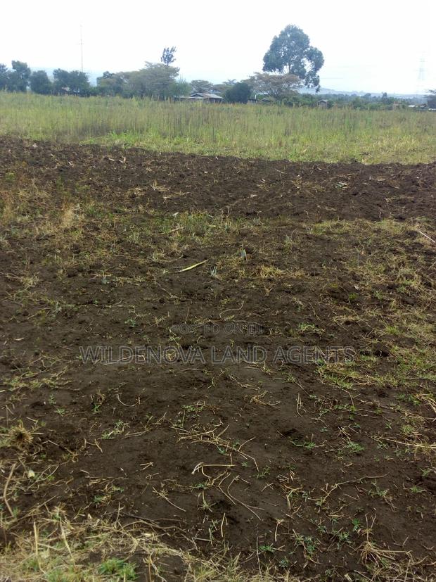 Land on Sale at Nyamathi Karai Naivasha
