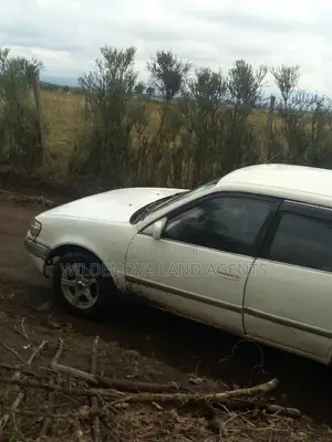 Land on Sale at Nyamathi Karai Naivasha