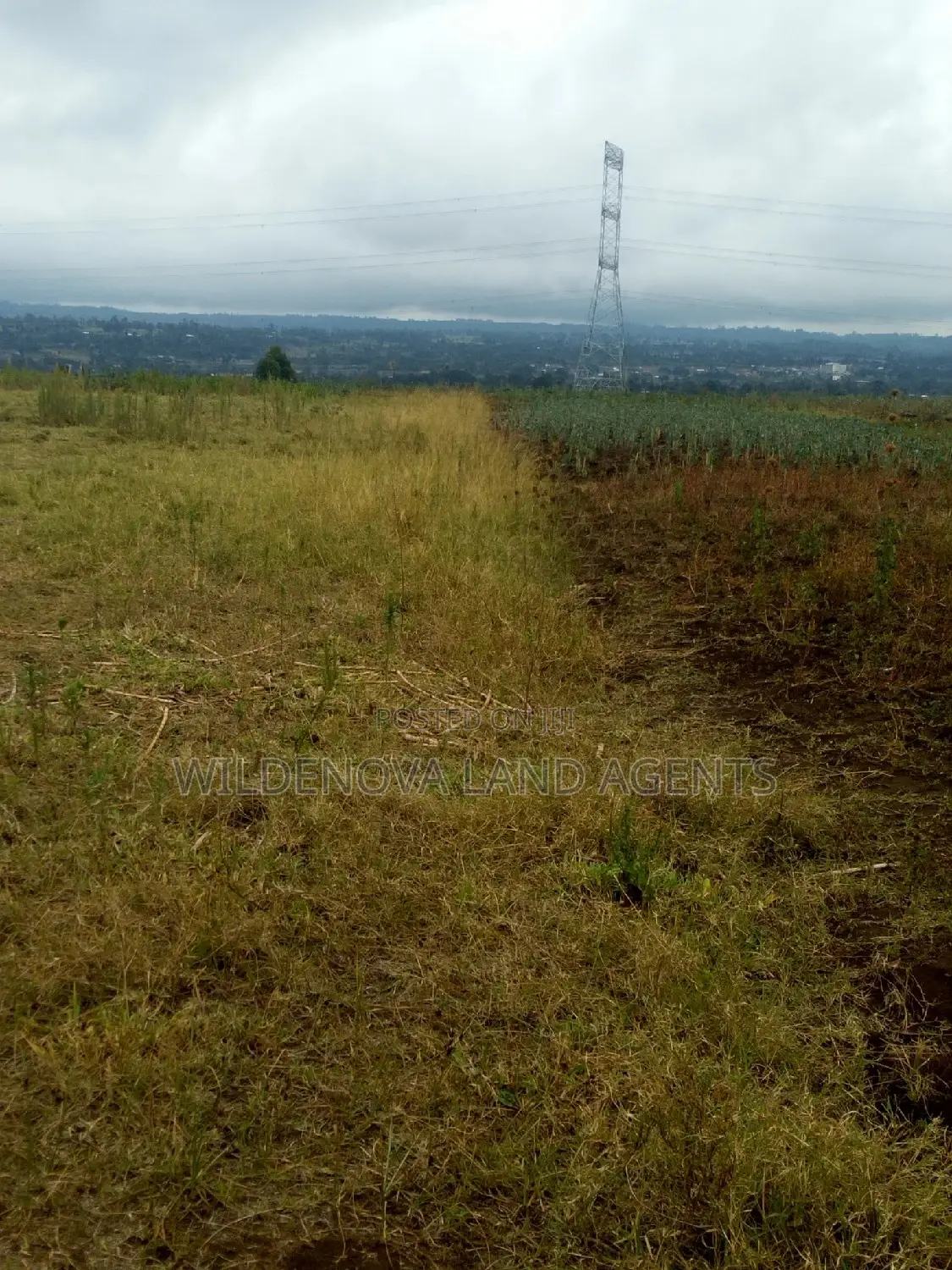 Land on Sale at Nyamathi Karai Naivasha