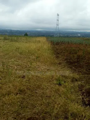 Land on Sale at Nyamathi Karai Naivasha