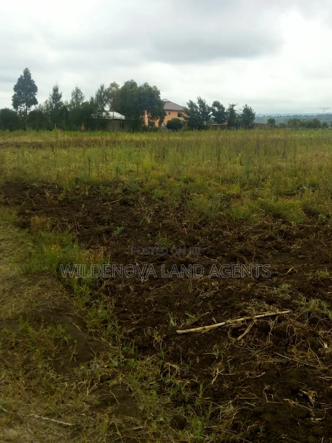 Land on Sale at Nyamathi Karai Naivasha