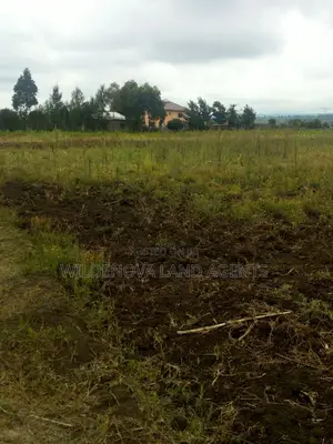 Land on Sale at Nyamathi Karai Naivasha