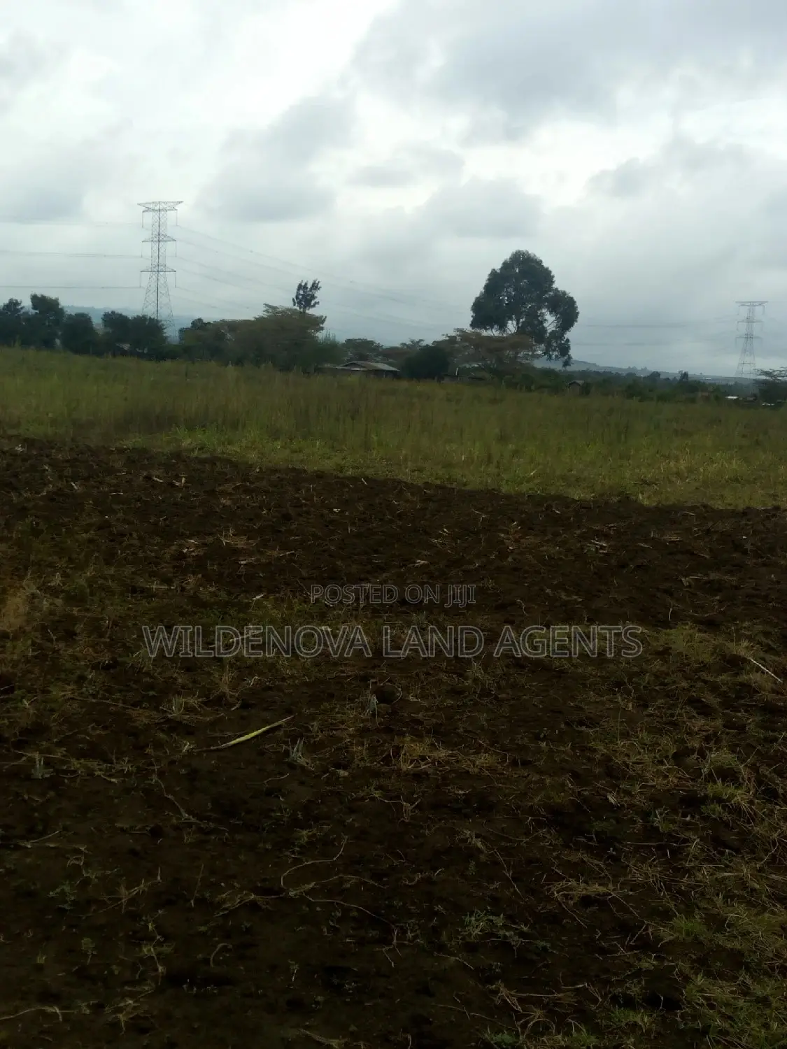 Land on Sale at Nyamathi Karai Naivasha