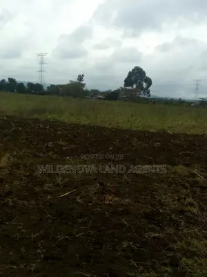 Land on Sale at Nyamathi Karai Naivasha