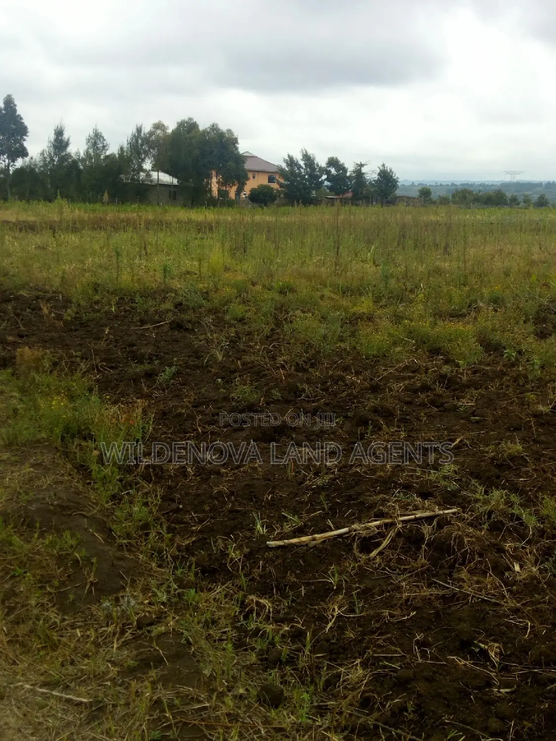 Land on Sale at Nyamathi Karai Naivasha