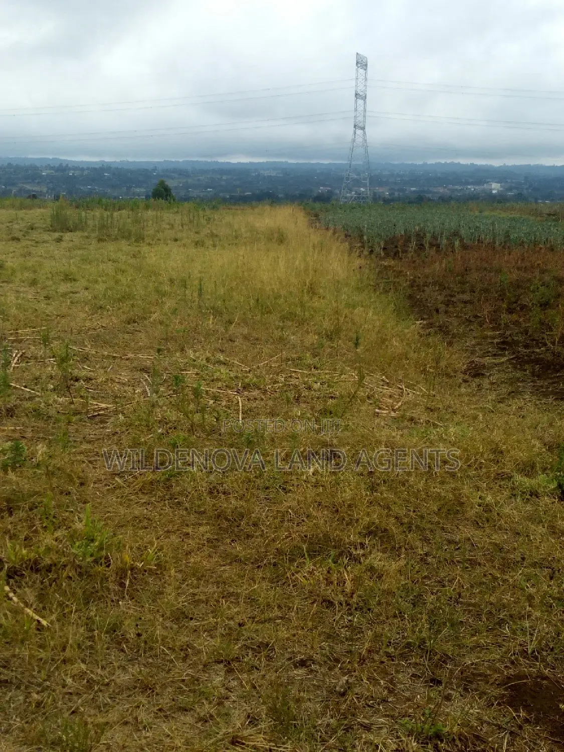 Land on Sale at Nyamathi Karai Naivasha