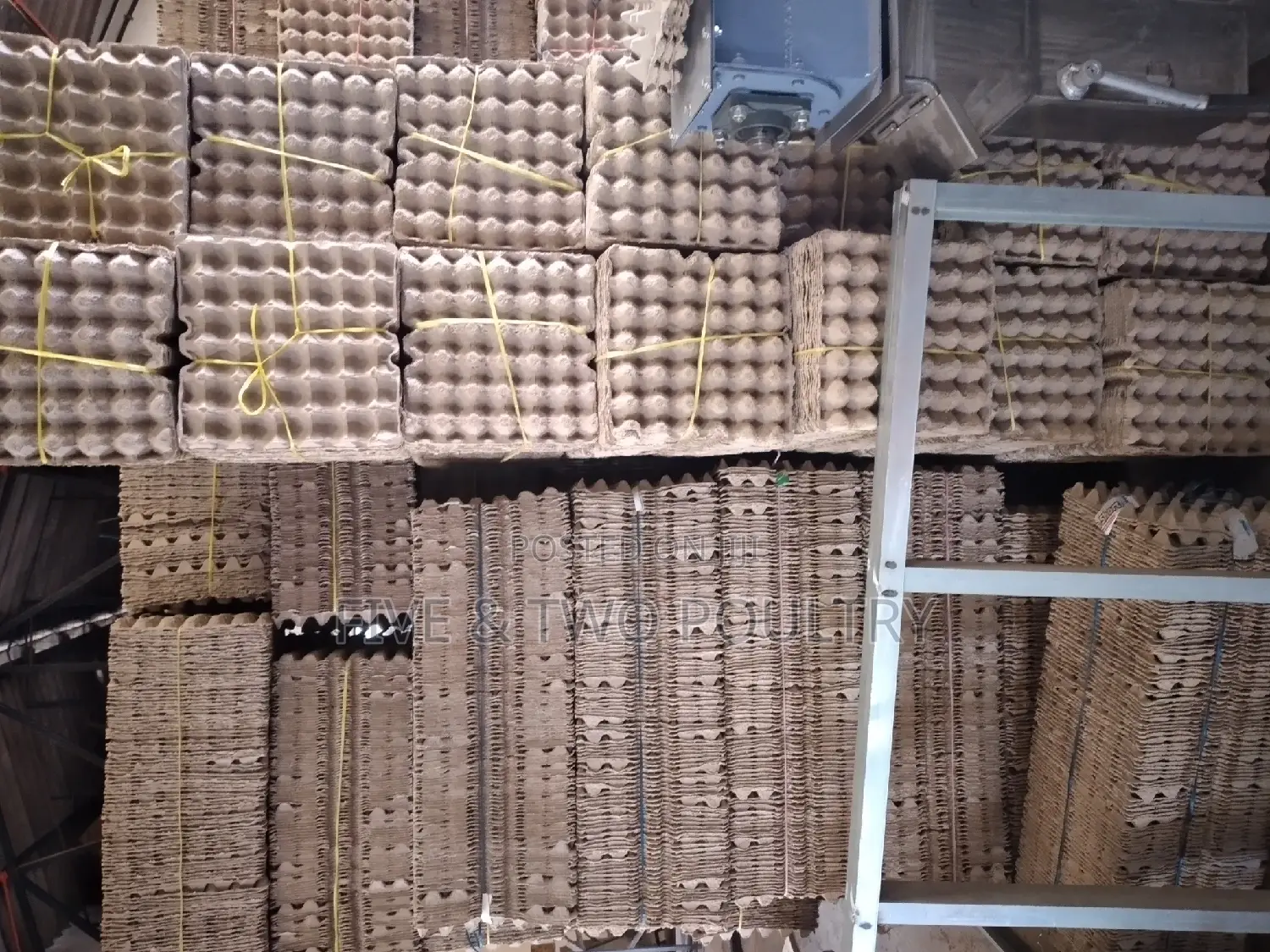 Brown Paper Trays