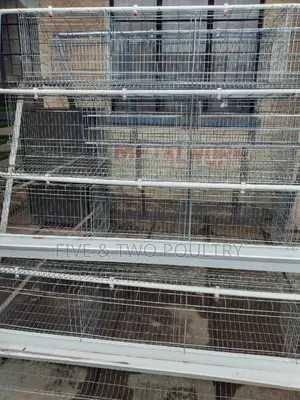 Chicken Cages 128 Birds