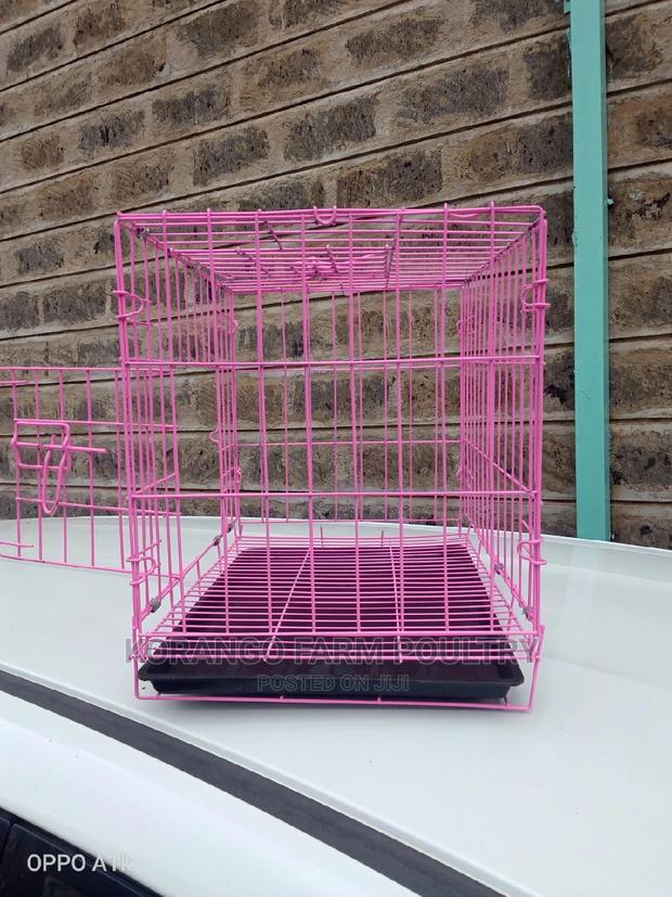 Puppies Dog Cage - main view