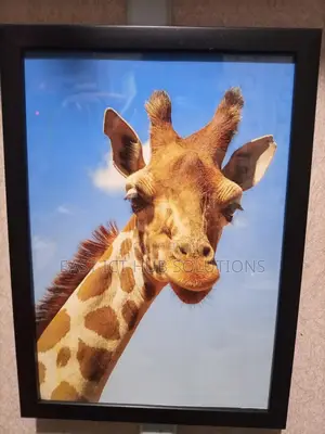 High Edition. Superior Classy Photo Frames and Wall Mounts