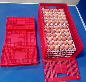 Egg Transportation Crates