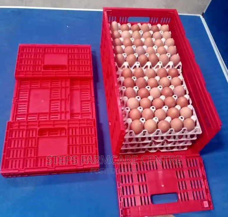 Egg Transportation Crates