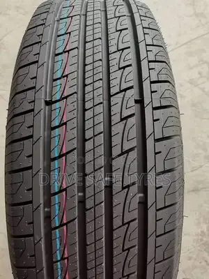 225/65 R17 Zextour Tyre Made in China