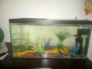 Aquarium Customized - thumbnail 2