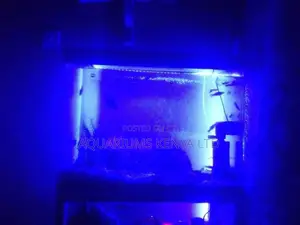 Aquarium Customized