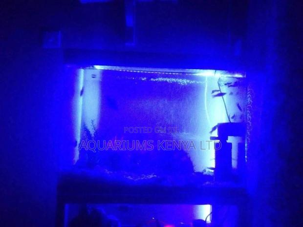 Aquarium Customized - thumbnail 3