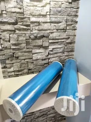 Whole House Jumbo Big Blue Housing Filter