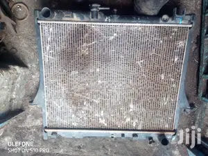 X Japan Radiators