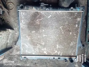 X Japan Radiators