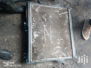 X Japan Radiators