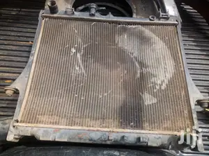 X Japan Radiators