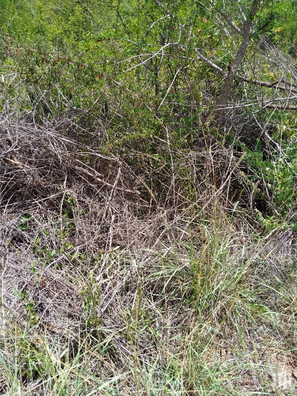 1/8 Acre Commercial Property(S) Mombasa Road Konza Near Kotda