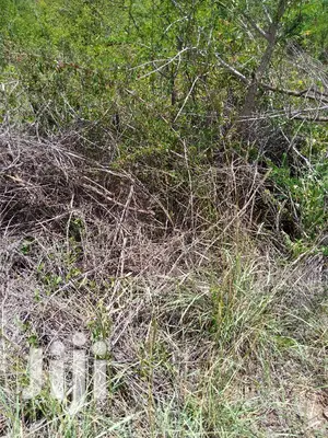1/8 Acre Commercial Property(S) Mombasa Road Konza Near Kotda