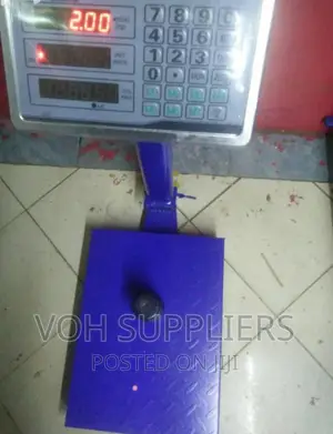 Platform 100kg Scale