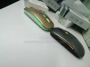 Rechargeable Wireless Mouse