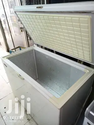 300L Deep Freezer
