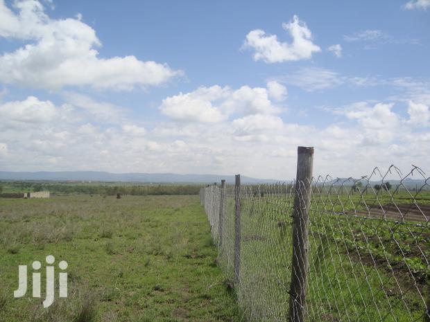 Special Offer Kamulu 50*100 Plots With Ready Title Deeds - thumbnail 3