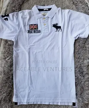 Polo T-Shirts (Embroidery)
