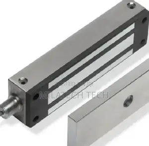 Magnetic Lock (Maglock)