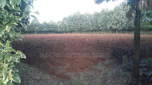 One Acre Elgonview Good for Residential - main view