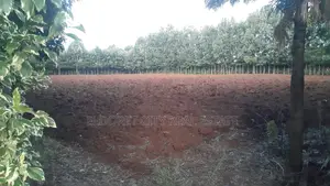 One Acre Elgonview Good for Residential