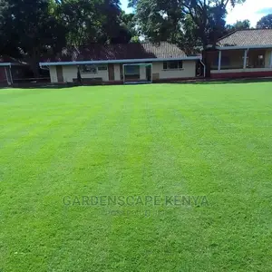 Garden Maintenance Services