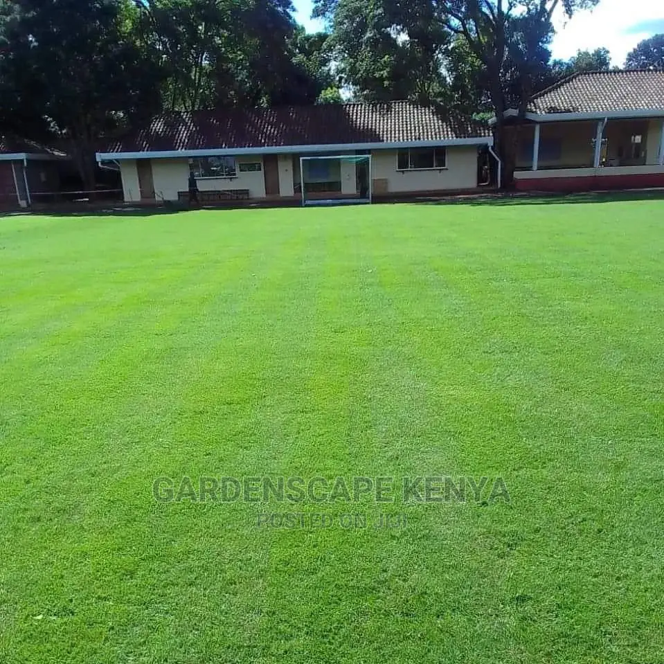 Garden Maintenance Services